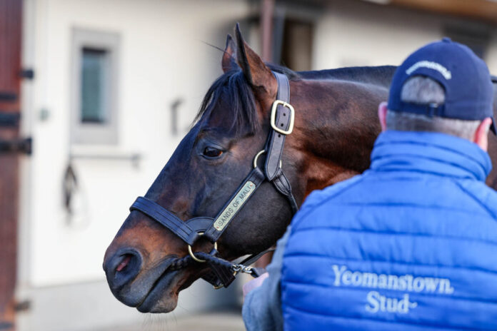 Sands of Mali (Foto: Effgen) Sands of Mali (Foto: Effgen)