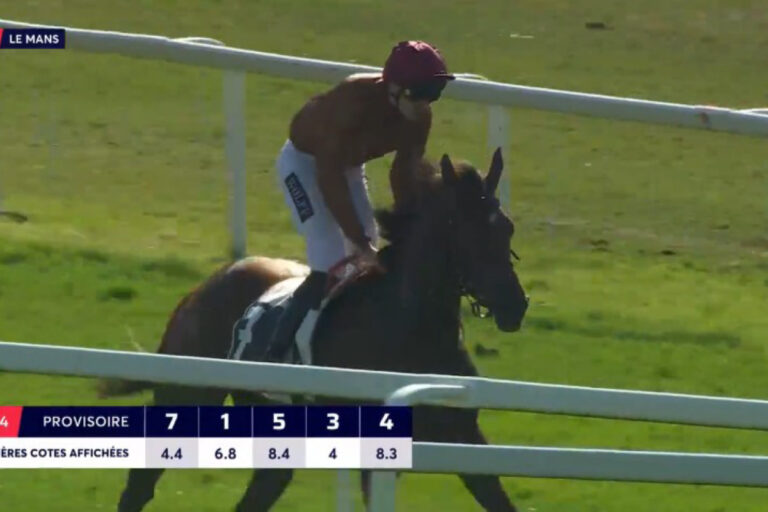 Alpenveilchen Foto: Screenshot