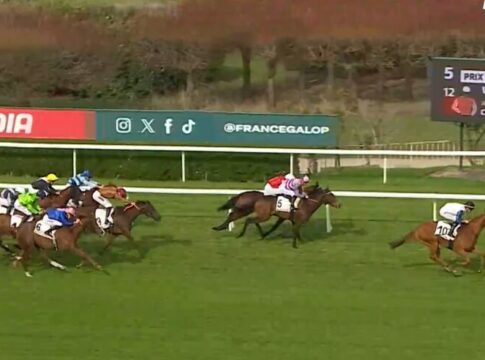 Alpenveilchen Vierte beim Listenstart im Prix Rose de Mai Alpenveilchen