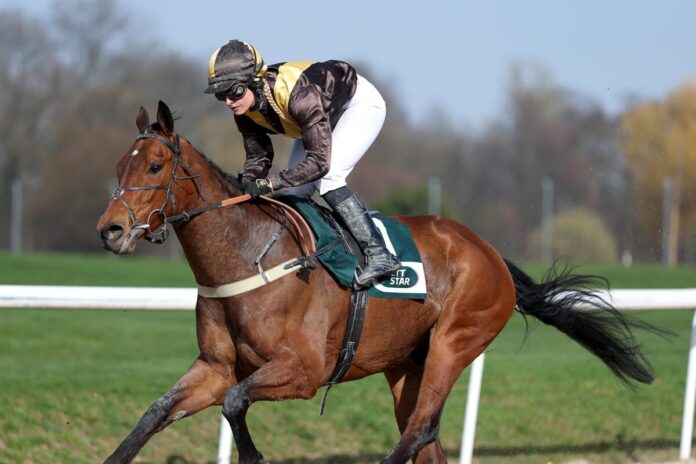 Artistic Mission siegt unter Nina Baltromei