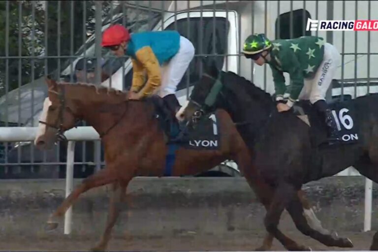 Läuft bei Röttgen, Pecheur und Seidl: Auch Damino gewinnt