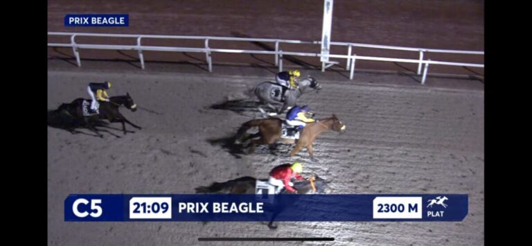 Dato vor Wahrsager – Deutsche Zweierwette in Mons