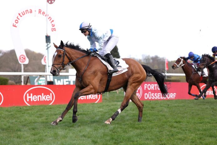 Morindoo siegt unter Nina Baltromei