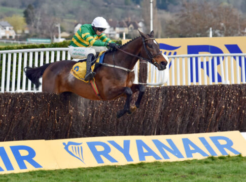 Fact To File: Foto Sorge