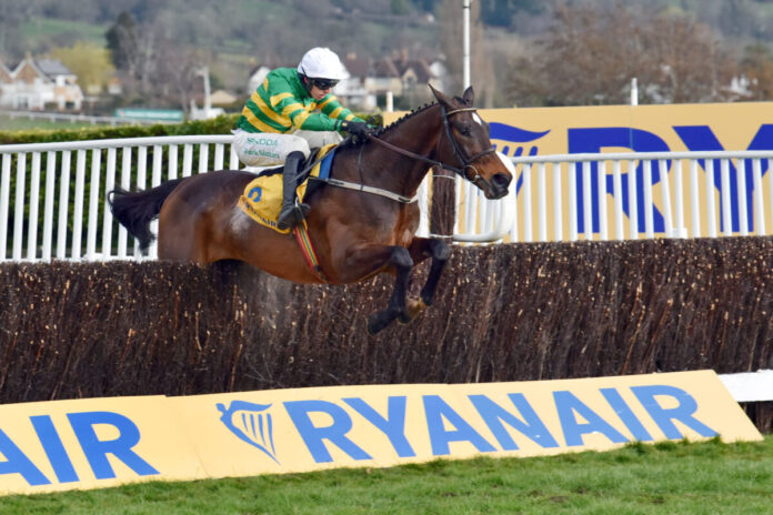 Fact To File: Foto Sorge