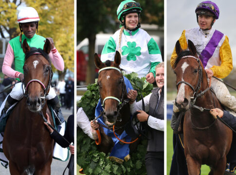 Gostam, Hochkönig und Santagada stehen zur Wahl