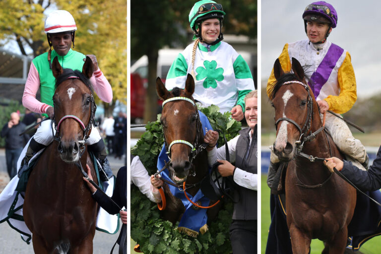 Gostam, Hochkönig und Santagada stehen zur Wahl