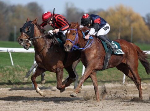 Heißer Fight zwischen Mr Pablo und Hamilton (re.)