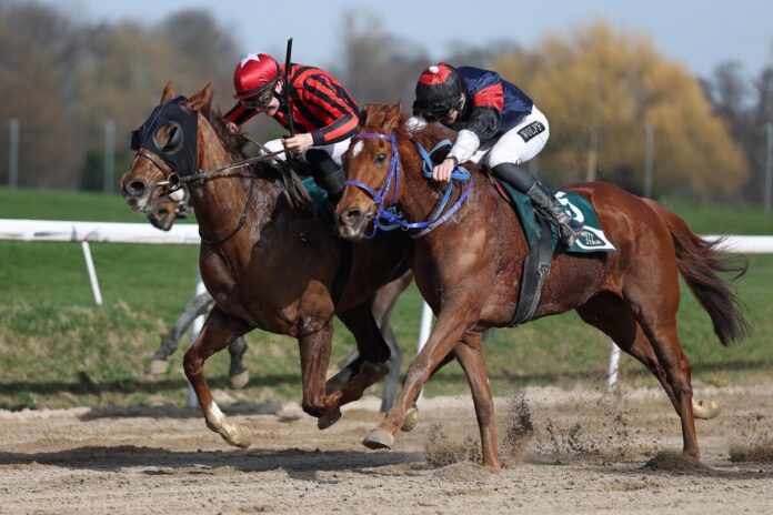 Heißer Fight zwischen Mr Pablo und Hamilton (re.)