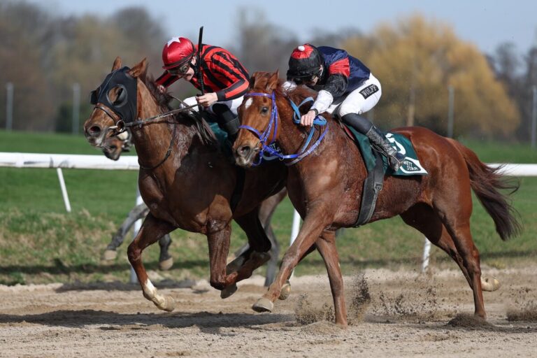 Heißer Fight zwischen Mr Pablo und Hamilton (re.)