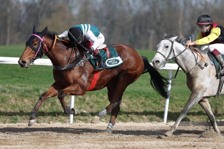 Invincible Royale siegt unter Andrea Ricupa