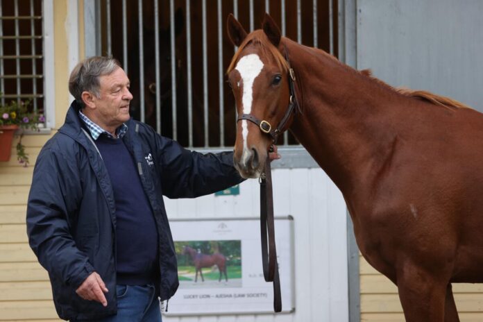 Karl Jörg mit Little Lord, einem Halbbruder zu Little Lady