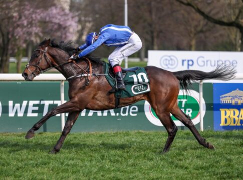 26,6:1 - Kinnigoli Kid überrascht zum Abschluss in Mülheim Kinnigoli Kid siegt unter Sean Byrne