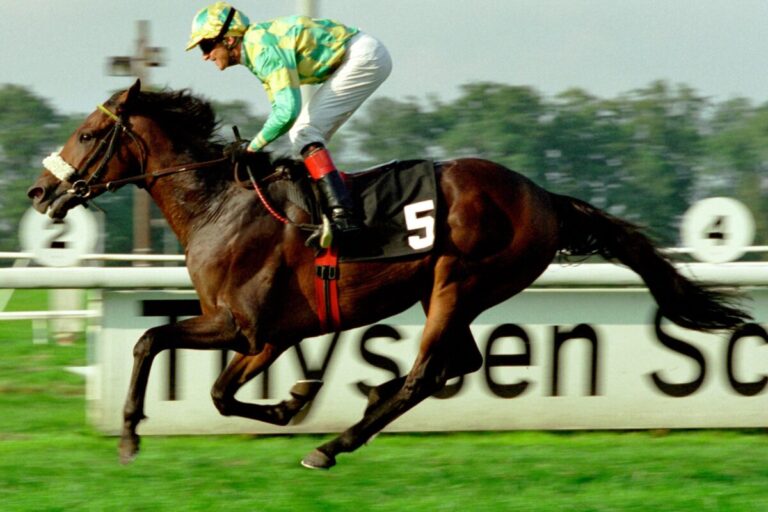 Liquido siegt unter Andreas Helfenbein im Deutschen St.Leger 2002