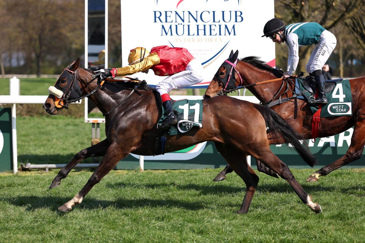 Maidstone siegt unter Sean Byrne