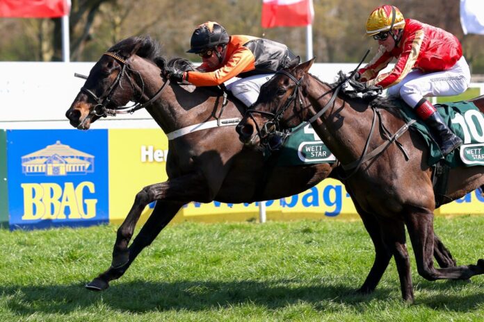Oak Lahoma siegt unter Rene Piechulek