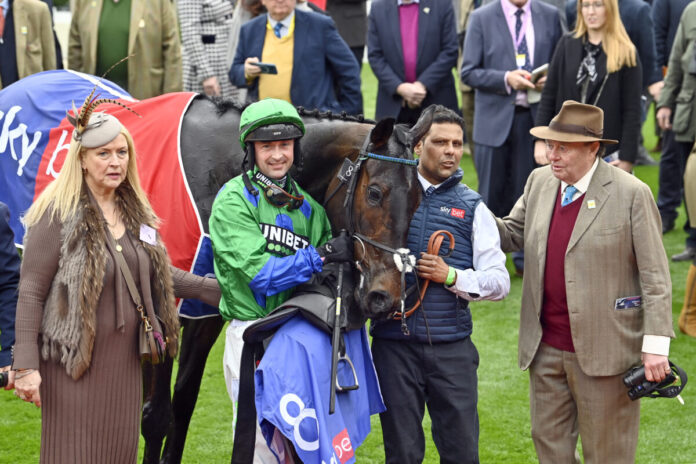 Old Park Star nach seinem Gruppe I-Sieg in Cheltenham Foto: Sorge