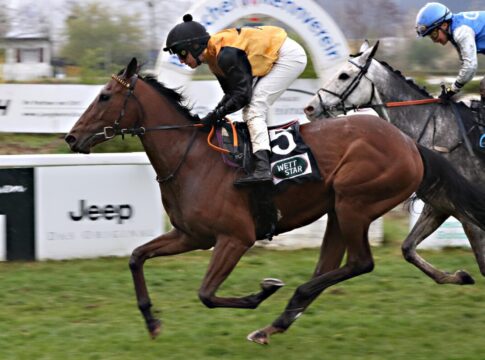 Ostseesonne siegt unter Sibylle Vogt