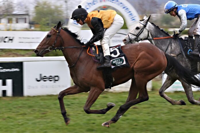 Ostseesonne siegt unter Sibylle Vogt