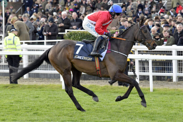 Quilixios Foto: Sorge