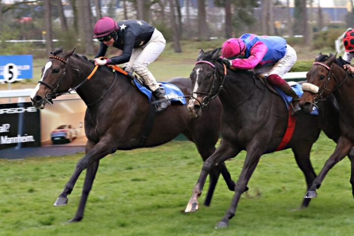 Russian Sochi siegt unter Sibylle Vogt