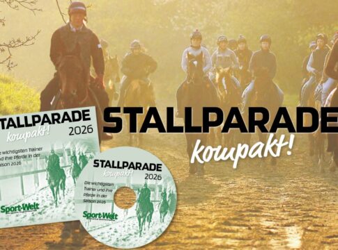 STP_kompakt_1200x800