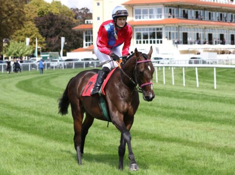 Sepezialist ist für das Derby genannt