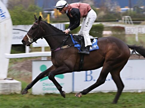 Reckes Debütanten-Ball: Auch Showstorm gewinnt in Mannheim Showstorm siegt unter Kevin Braye