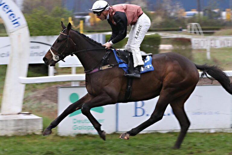 Showstorm siegt unter Kevin Braye