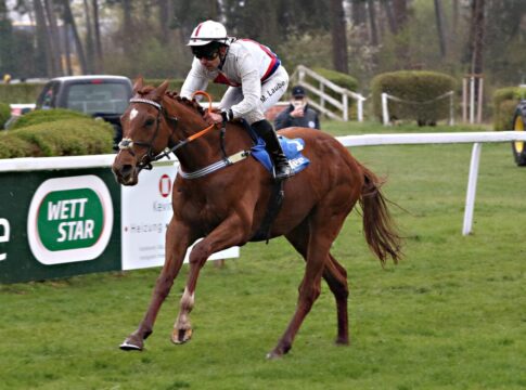 Spectacular Style siegt unter Martin Laube