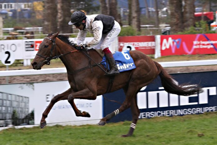 Sukiyo siegt unter Andrea Ricupa