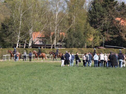 Impressionen vom Tag der Rennställe bei Maxim Pecheur in Rath-Heumar