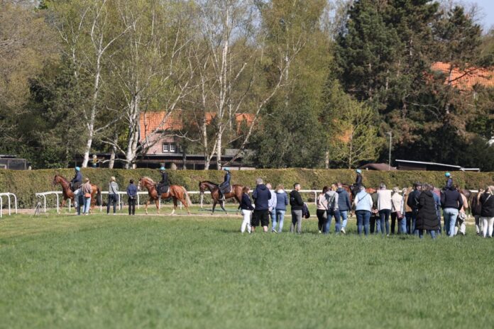 Impressionen vom Tag der Rennställe bei Maxim Pecheur in Rath-Heumar