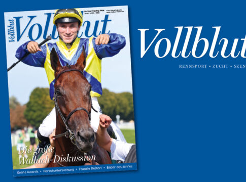 Vollblut284 GOL1200x800