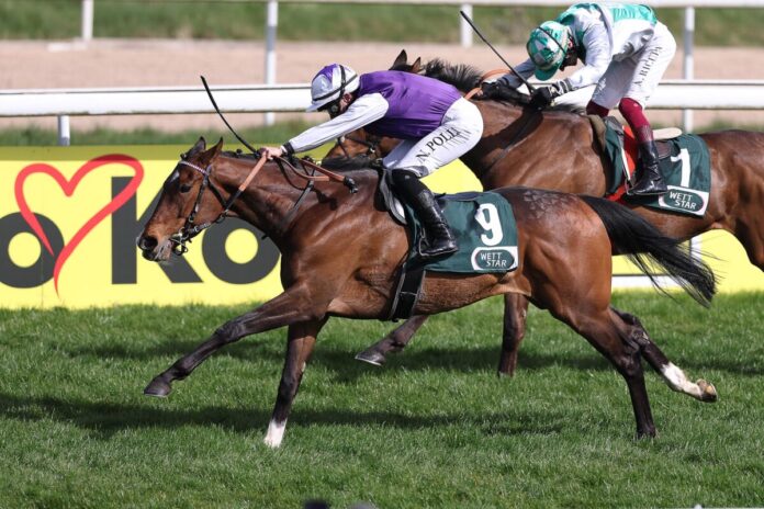 Ageless Lips siegt unter Nicol Polli