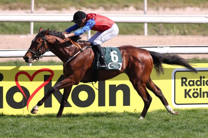 All Square siegt unter Bauyrzhan Murzabayev