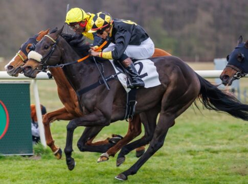 Deja vu - Grewe und Hammer-Hansen auch in Fillies Mile vorne Aster siegt unter Thore Hammer-Hansen im Siedler & Kowalski Malermeister GmbH , Hoppegartener Fillies Mile