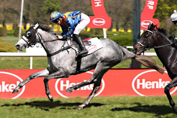 North Fire siegt unter Sibylle Vogt