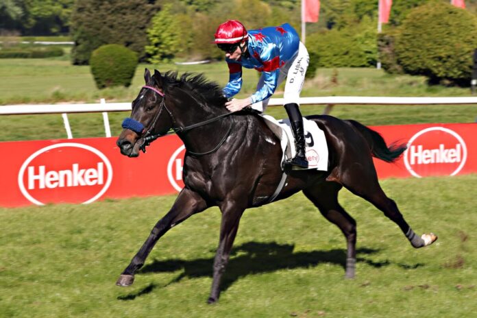 Westwood siegt unter David Liska