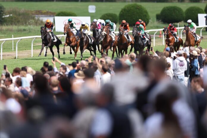 Galopp in Düsseldorf