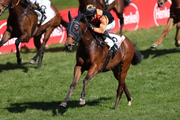 Freigeist siegt unter Rene Piechulek