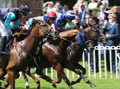 Espero, Zerostress und Schützenzauber (v.li.)