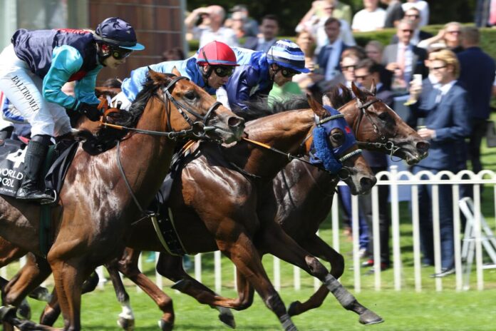 Espero, Zerostress und Schützenzauber (v.li.)