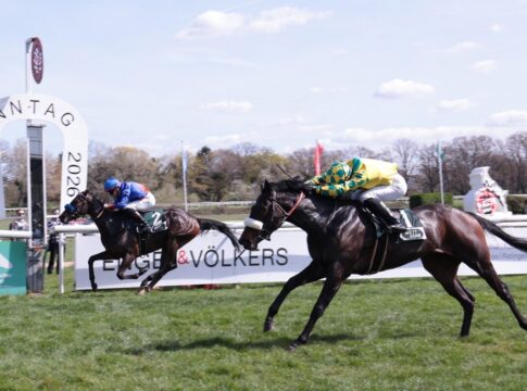 Fast Angel putzt die kochend heiße Santa Catarina Fast Angel (rechts) siegt unter Michal Abik - auch wenn die Perspektive täuscht