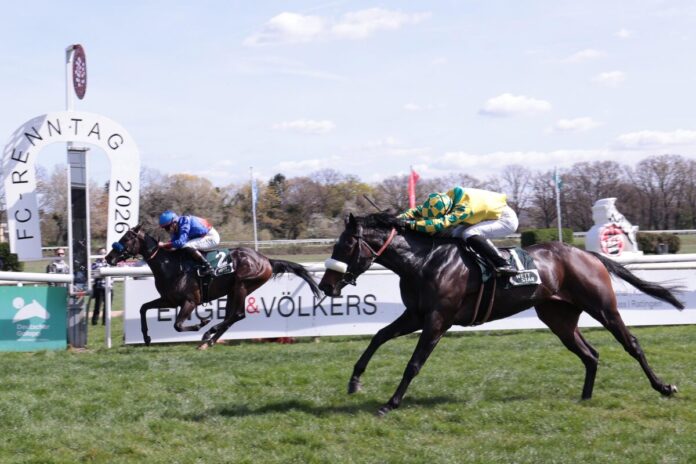 Fast Angel siegt unter Michal Abik Fast Angel (rechts) siegt unter Michal Abik - auch wenn die Perspektive täuscht
