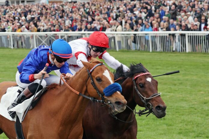 Thore Hammer Hansen auf Flatten the Curve (links) knapp vor Leon Wolff auf Narrativo beim der Saisoneröffnung 2026 (galoppfoto.de)