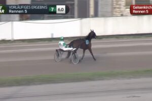 Herbie mit Nina Baltromei in den Farben von Derbysieger Hochkönig
