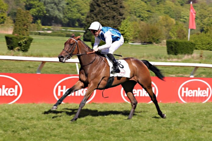 Indifferente siegt unter Hugo Journiac im Henkel-Stutenpreis, L.