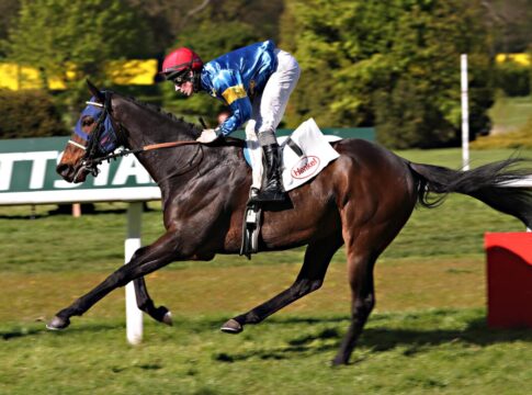 Any Moon siegt unter Matthew S. Johnson