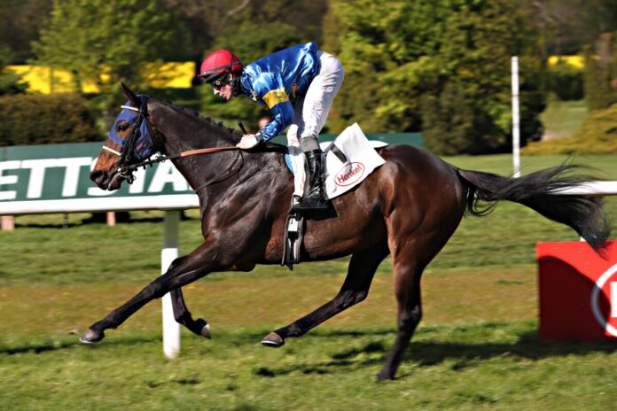 Any Moon siegt unter Matthew S. Johnson